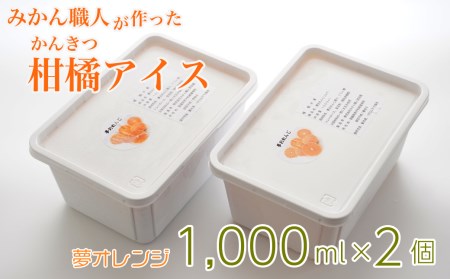 アイス 柑橘 夢オレンジ 1000ml 2箱 ギフト 詰め合わせ 有名 みかん職人 武田屋 お取り寄せ 贈り物 贈答品 氷菓 シャーベット ソルベ 美味しい フルーツ 果汁 ご当地 内祝い 