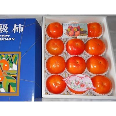 ふるさと納税 橋本市 【先行予約:2026年配送】太陽の光をたっぷり浴びた松岡農園の富有柿(3L　12個)