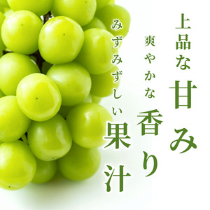 【6月中旬～8月中旬まで順次発送】シャインマスカット 1kg 2房 国産