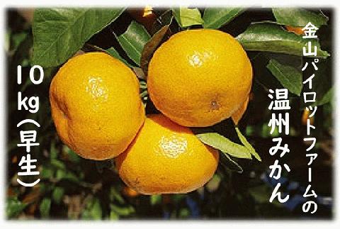 <テレビで紹介されました> 金山パイロットファーム 温州みかん 10㎏ (早生) みかん ミカン 温州みかん【knpr0015A】