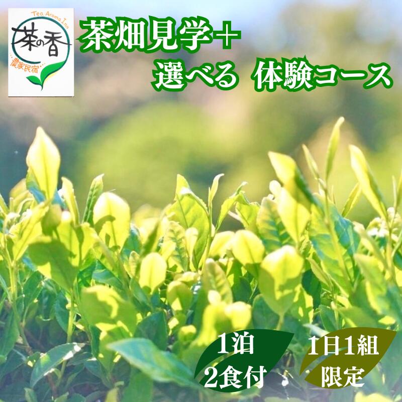 【ふるさと納税】茶畑見学＋選べる体験コース 1泊2日朝夕食事付 【選べる体験人数】 1日1組限定！！ / 和歌山 田辺市 お茶 体験 宿泊 茶畑 飲み比べ 食事付