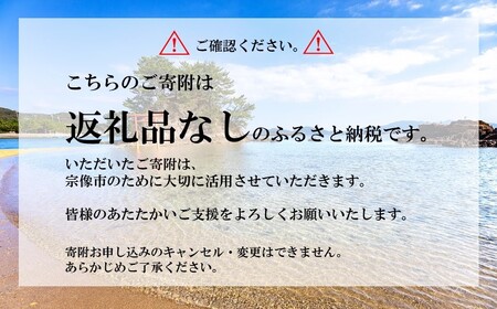 【返礼品なし】宗像市ふるさと応援寄附 100,000円_HA1800