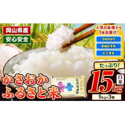 ふるさと納税 笠岡市 【令和8年4月発送】令和7年産 備中笠岡ふるさと米15kg