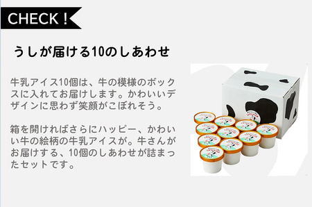 【おまかせフレーバー】アイスクリーム詰め合わせ（10個）012AE01N.／アイス スイーツ デザート 牛乳アイス ミルク にゅうにゅう工房 冷凍 セット 冷菓