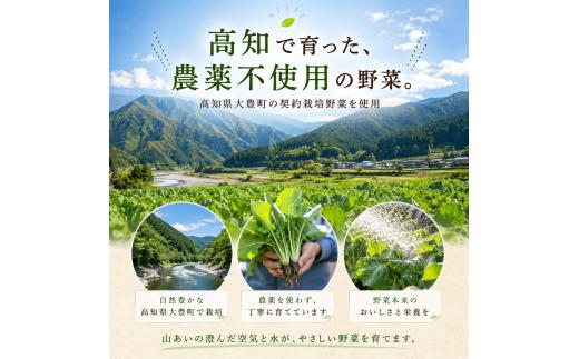 青汁 菜食健美 90ml × 7本 健康 美容 国産 ケール ビタミン ミネラル 食物繊維 冷像 ロングセラー お試し青汁 新鮮 ひまわり乳業 高知県 南国市  