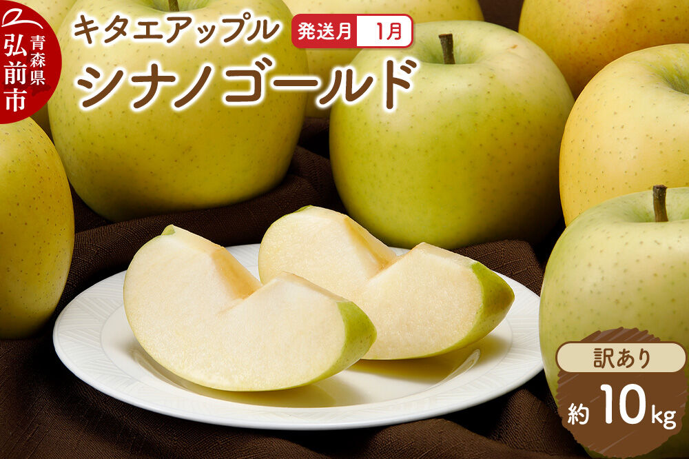 【27年1月発送】りんご シナノゴールド【訳あり】約10kg キタエアップル 青森県 弘前市 [先行予約 シナノゴールド りんご 訳あり 家庭用 アップル おいしい 果実 果物 黄色 美味 林檎]