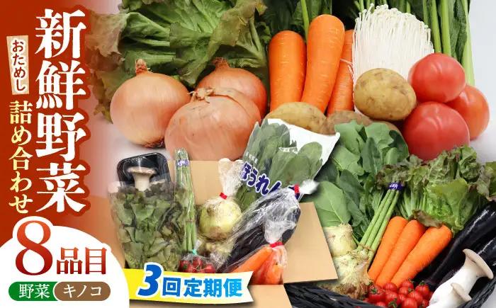 【3回定期便】野菜 定期便 8品目 [SCZ028]