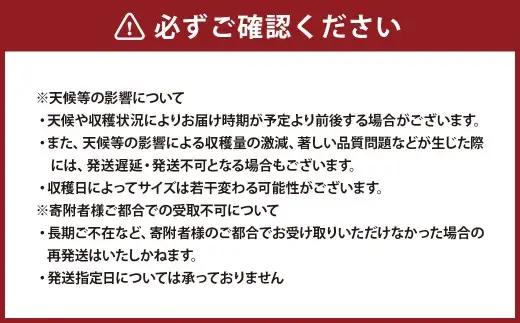 ばってん柿 （ 約3.5kg ） 柿 かき カキ 果物 くだもの フルーツ 果実 果汁 果肉 旬の味覚 旬の果物 国産 熊本県産 【 2026年9月上旬から11月上旬発送予定 】
