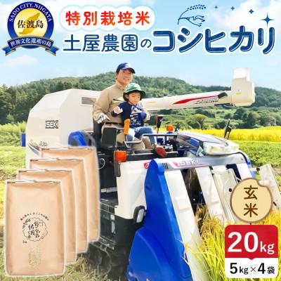 ふるさと納税 佐渡市 【新米】令和8年産 佐渡島産コシヒカリ 玄米20kg 土屋農園 農家直送 特別栽培米
