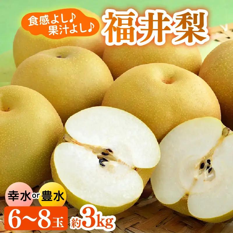 【先行予約】福井梨 6～8玉入 《幸水梨 豊水梨どちらかのお届け！》 ／ 期間限定 果物 フルーツ 産地直送 旬 お取り寄せ ※2027年8月下旬以降発送 [aw003-a009]