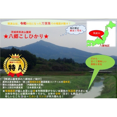 【玄米5kg⇒白米】筑波山麓厳選★検査1等米こしひかり【恋瀬姫の舞】令和7年産【配送不可地域：離島・沖縄県】