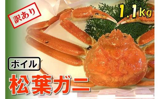 【魚倉】足1本なしボイル松葉ガニ (特特大1,100g) 訳あり 312011_DP010