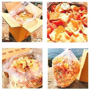 【定期便 毎月3回】えびせんべい お得箱 4.5kg (1回1.5kg) 大量 詰め合わせ 自家製 われせん 愛知県 南知多町 海老 えびせんべい 割れせん 煎餅 人気 おすすめ 海老煎餅 海老せんべ