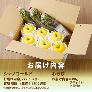 りんごと朝どれ生蕨 【離島配送不可】 [BK010]