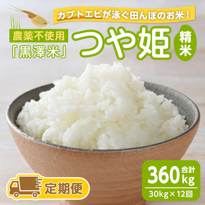 【12回定期便】農薬不使用 つや姫 精米 合計360kg(30kg×12回)＜カブトエビ田んぼで育てたお米＞ 黒澤米 宮城県登米市産 おこめ 米 コメ 白米 ご飯 ごはん おにぎり お弁当 頒布会 【株式会社天体】tm455