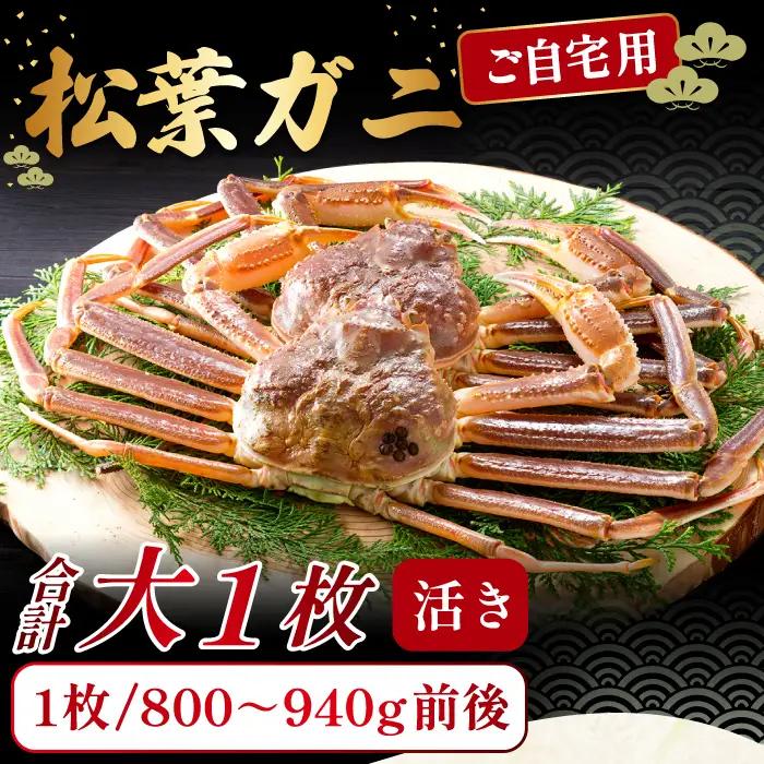 【活き】ご自宅用松葉ガニ　大　１枚