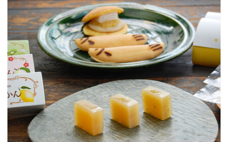 【夏限定】老舗小田原伊勢屋　小田原の夏を感じる和菓子セット〈出荷時期:2025年6月15日～2025年8月31日〉【 和菓子店 神奈川県 小田原市 】