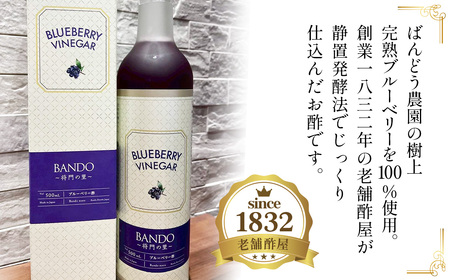 No.845 ブルーベリービネガー　BANDO　～将門の里～
