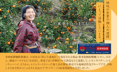 【小田原の柑橘果汁を使ったドロップ3種類セット】口に入れるとフルーツの香りが広がるドロップ。【 ドロップ 神奈川県 小田原市 ドロップ】