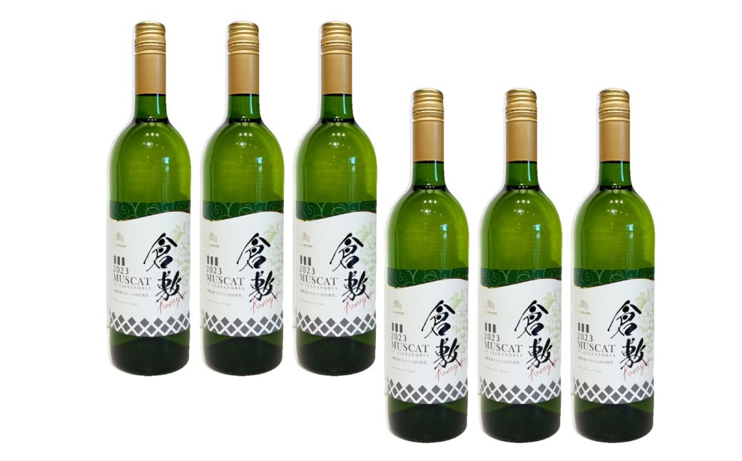 
            ふなおワイナリー マスカット・オブ・アレキサンドリア【やや甘口】 750ml×6本【ワイン スパークリングワイン ふなおワイナリー お酒 酒 さけ岡山県 倉敷市 人気 おすすめ】
          