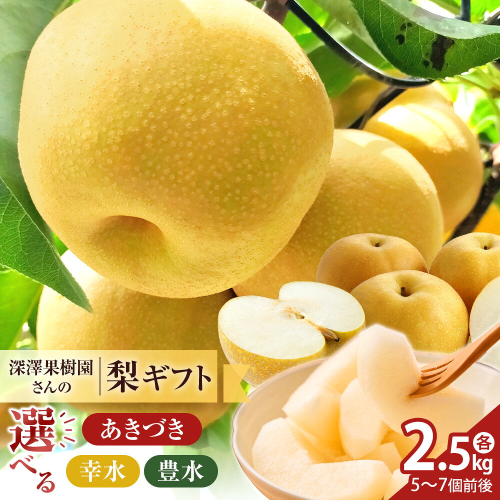 【ふるさと納税】【選べる種類】　深澤果樹園さんの梨ギフト［幸水］［あきづき］［豊水］8月～10月発送 | フルーツ 果物 くだもの 食品 人気 おすすめ 送料無料