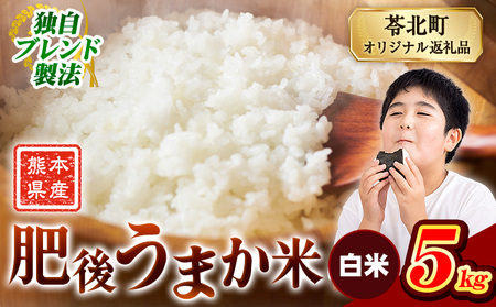 肥後うまか米 熊本県産ブレンド米約5kg(白米) 熊本県産 ふるさと納税 白米 精米 米 こめ コメ お米 おこめ《10月中旬-12月末頃出荷》