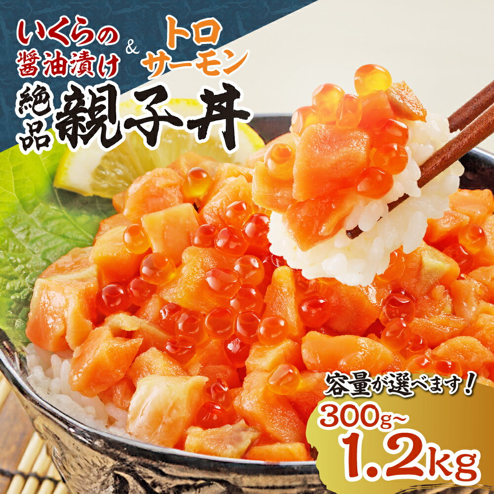 【ふるさと納税】 北海道産 いくら トロサーモン 親子丼 セット 【 選べる 容量 】 300g 600g 1.2kg イクラ ikura 鮭卵 醤油漬け サーモン 海鮮丼 お取り寄せ グルメ ご飯にのせるだけ 小分け おつまみ おかず 水産 海鮮 魚卵 魚介 冷凍 北海道 札幌市