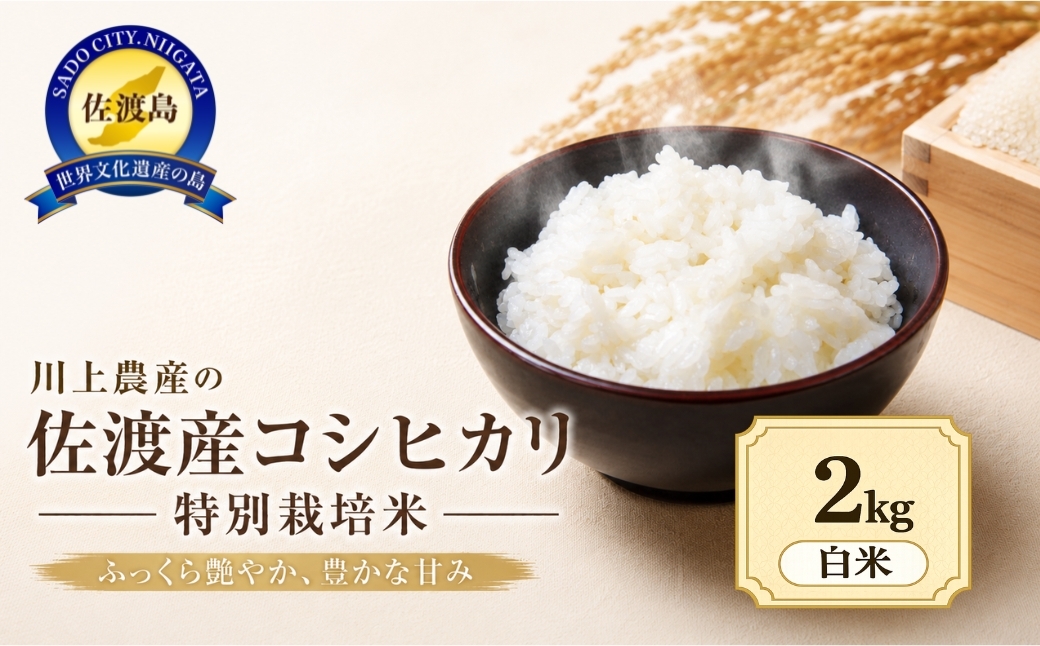 
                  【コシヒカリ 2kg】令和7年産 佐渡産コシヒカリ 2kg 精米 少量パック 川上農産 | 新潟県産コシヒカリ 新潟産コシヒカリ 新潟コシヒカリ 佐渡島産コシヒカリ 新潟県産こしひかり 佐渡産こしひかり お米 米 こしひかり 白米 精米 おこめ コメ 2キロ お試し 少量 にいがた さど 新潟県 佐渡市
                