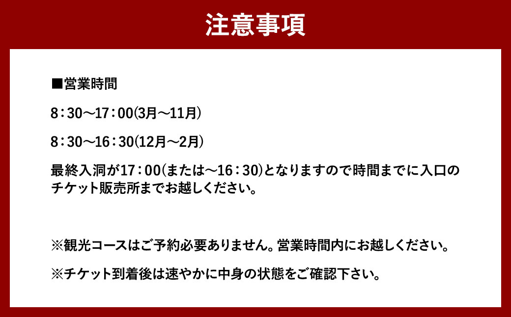 【日本三大鍾乳洞】龍河洞観光コース入洞券 大人1名分