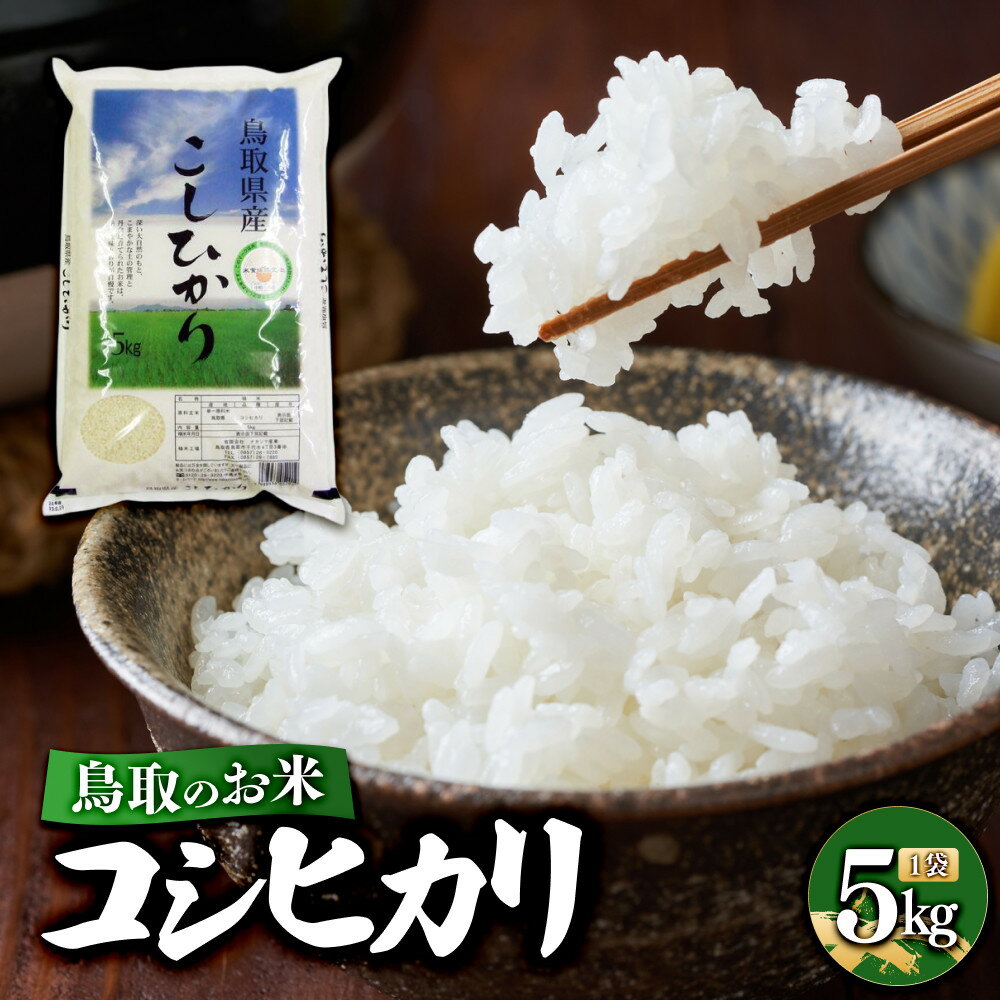 【ふるさと納税】鳥取のお米 コシヒカリ 5kg 精米 | R7年産 2025年産 米 こめ ご飯 ごはん おにぎり おむすび 夕食 5キロ 鳥取県産 北栄町 おすすめ 人気