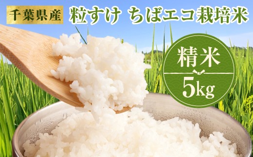【先行予約・令和8年産】　千葉県産　粒すけ　ちばエコ栽培米　精米　5㎏　W01801