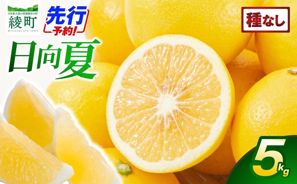 【先行受付】初春の旬「日向夏」種なし 5kg 果物 フルーツ くだもの 柑橘 フルーツサンド おやつ スイーツ デザート ジャム おすすめ ギフト 贈り物 贈答 プレゼント おすそ分け お返し 宮崎県