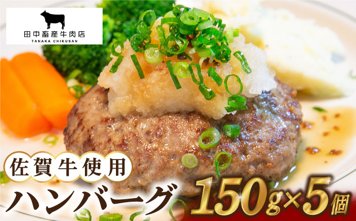 
【農林水産大臣賞】佐賀牛 ハンバーグ 5個セット【田中畜産牛肉店】 [HBH038]
