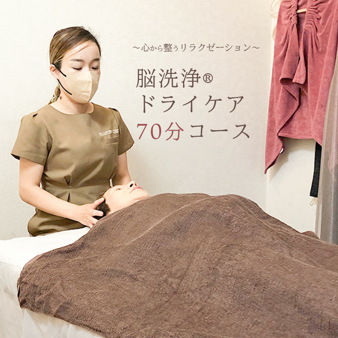 【ふるさと納税】脳洗浄ドライケア 70分 脳洗浄 体験 利用券 チケット 美容 癒し マッサージ
