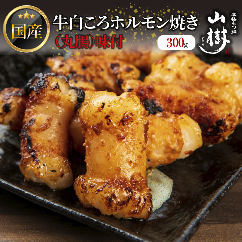 山樹の国産牛白ころホルモン焼き（丸腸）味付　300g[047R19]