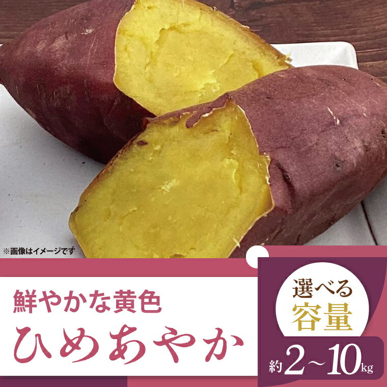 【ふるさと納税】【選べる内容量】【2025年11月より順次発送】2025年度産 鮮やかな黄色のさつまいも ひめあやか 約2・5・10kg｜さつまいも サツマイモ さつま芋 芋 お芋 ひめあやか 先行予約 渋谷農園 人気 送料無料 茨城県 行方市(BZ-2)
