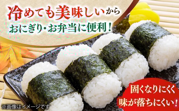 米 こめ コメ お米 白米 精米