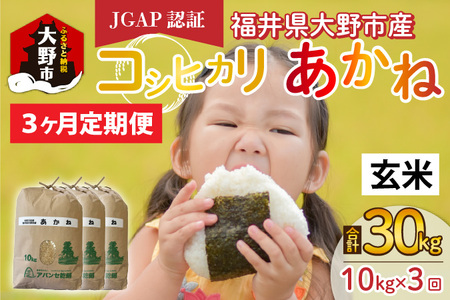 【先行予約】【令和6年産 新米】【3ヶ月定期便】福井県大野市産 JGAP認証 コシヒカリ「あかね」（玄米）10kg×3回　計30kg