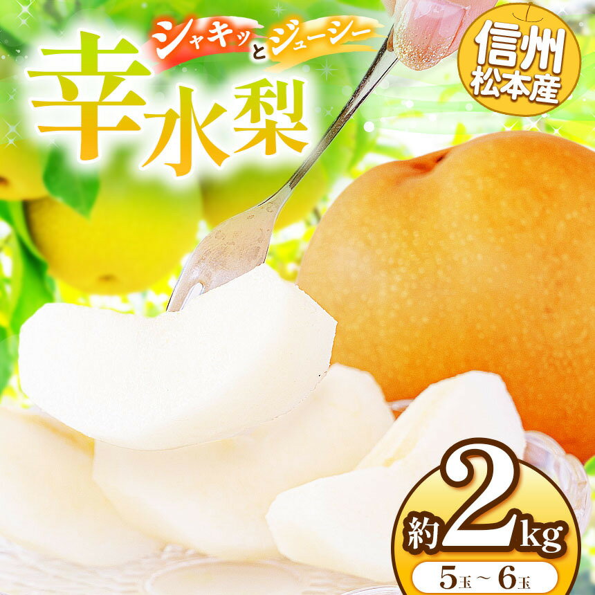 【ふるさと納税】【先行受付：2026年発送】信州松本産　幸水梨　5～6玉約2kg │ 梨 なし ナシ 幸水 幸水梨 果汁 果物 くだもの フルーツ 自然 旬 ご褒美 長野県 信州 松本 ふるさと納税
