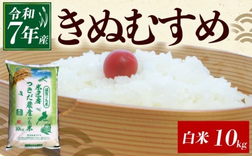 令和7年産 きぬむすめ 白米 10kg 米 コメ お米 新米 10キロ 米10kg ご飯 ごはん キヌムスメ おにぎり お弁当 滋賀 彦根