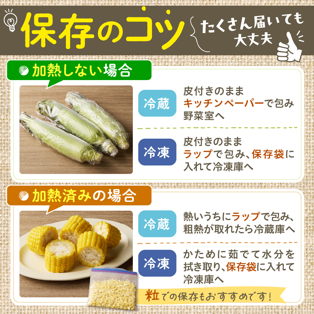 【2025年分先行予約】北海道十勝 芽室町産 とうもろこし ドルチェドリーム 20本 【2025年8月発送】me035-031c-25