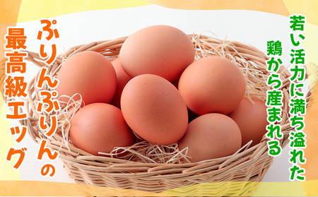 ぷりんセス・エッグ 30個『北川鶏園 房総のあおぞら農場』｜たまご タマゴ 玉子 卵 ブランドたまご 産みたて 新鮮 プレミアム プリンセスエッグ ぷりんせすえっぐ [0250ch]