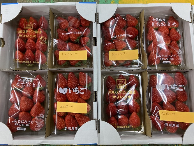 田舎の頑固おやじが厳選！イチゴの食べ比べセット【令和3