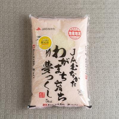 ふるさと納税 春日市 【春日】果物屋さんが選んだ米「夢つくし」5kg