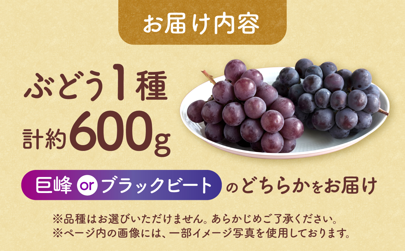 【先行予約】【訳あり】 こば農園 人気の黒ぶどう（巨峰 or ブラックビート）約600g 【合同会社 こば農園】 [ZFO007]