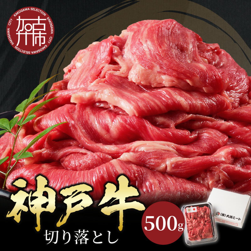 【ふるさと納税】【レビューキャンペーン】★選べる発送月★神戸牛切り落とし（500g）〈 牛肉 和牛 おすすめ 神戸牛 バーベキュー こま切れ 焼肉 切り落とし 冷凍 国産 送料無料 選べる 選べる発送月 選べる発送月 〉