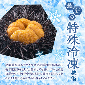 冷凍ウニ 50g×1｜北海道産 ムラサキウニ カネシメ 髙橋水産 北海道 札幌市