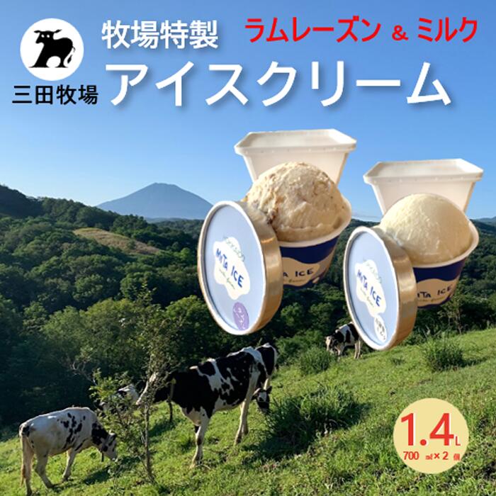 【ふるさと納税】ミタアイス業務用2個入りセット アイス 三田牧場 1.4L 自家製ミルク 1個＋ラムレーズン 1個 お菓子