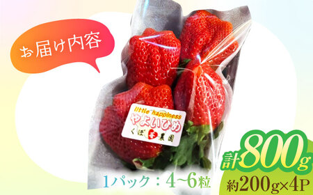 朝摘み 愛知県産 大粒 完熟やよい姫 約200g×4パック いちご やよい姫 完熟 愛西市/くぼ苺農園[AECJ004]