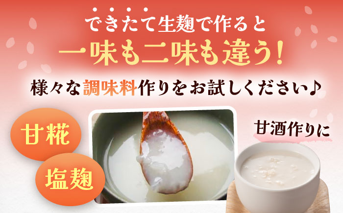 昔ながらのロジブタ作り 生米こうじ 米3合分×3袋 / 米糀 麹 手作り / 恵那市 / マルコ醸造 [AUCT016]